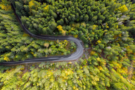 Der Transport der Flizzer Unterwäsche erfolgt per Strasse oder Schiff. Wir verzichten bewusst auf den Einsatz von Luftfracht - der Umwelt zu liebe. Deshalb ist Flizzer bestrebt, deine Unterwäsche so regional wie möglich zu produzieren.